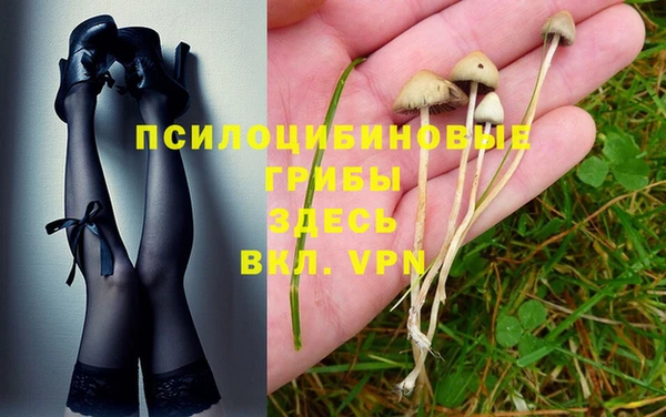винт Абинск