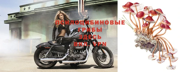 apvp Абаза