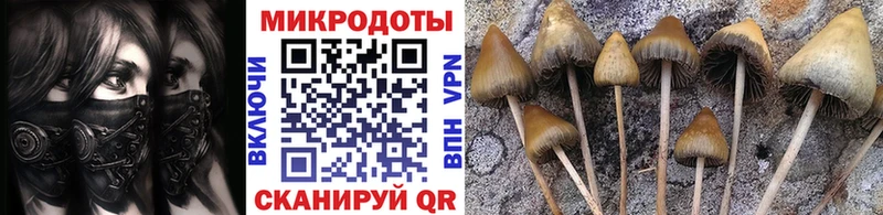 Псилоцибиновые грибы прущие грибы  маркетплейс клад  Поворино 